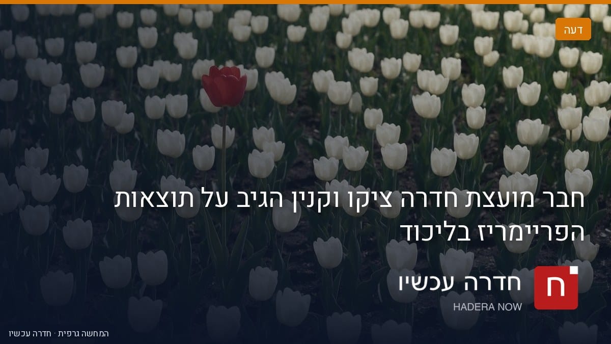 איור: בינה מלאכותית — חבר מועצת חדרה ציקו וקנין הגיב על תוצאות הפריימריז בליכוד
