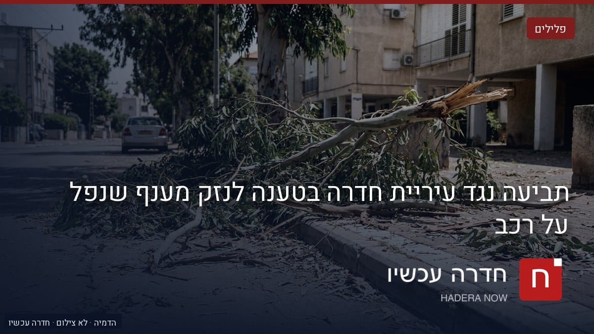 איור: בינה מלאכותית — הדמיה: ענף עץ שבור ומשומש שנפל על מדרכה ברחוב עירוני, עם בניינים ורכב חונה ברקע.