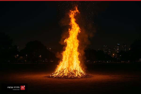 שמונה חשודים נעצרו בעקבות אירוע הדקירות בחגיגות ל״ג בעומר אמש, ביניהם שישה קטינים