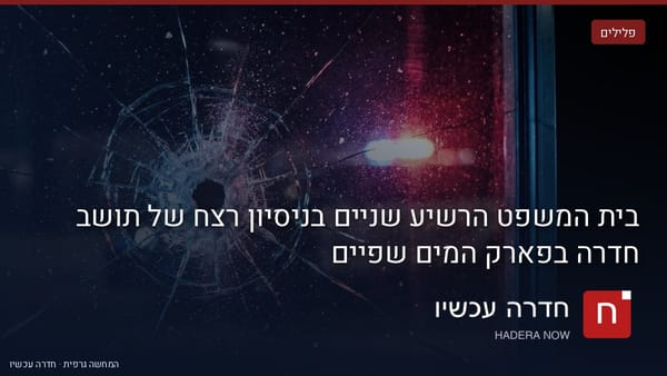 איור: בינה מלאכותית — בית המשפט הרשיע שניים בניסיון רצח של תושב חדרה בפארק המים שפיים