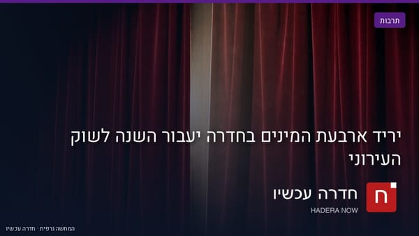 יריד ארבעת המינים בחדרה יעבור השנה לשוק העירוני
