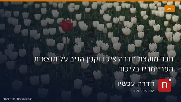 איור: בינה מלאכותית — חבר מועצת חדרה ציקו וקנין הגיב על תוצאות הפריימריז בליכוד
