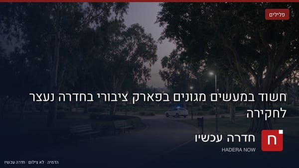 איור: בינה מלאכותית — חשוד במעשים מגונים בפארק ציבורי בחדרה נעצר לחקירה
