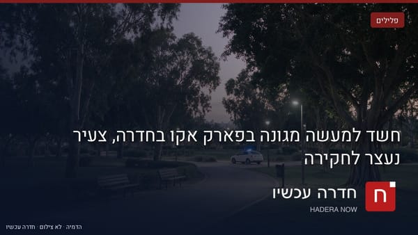 איור: בינה מלאכותית — חשד למעשה מגונה בפארק אקו בחדרה, צעיר נעצר לחקירה